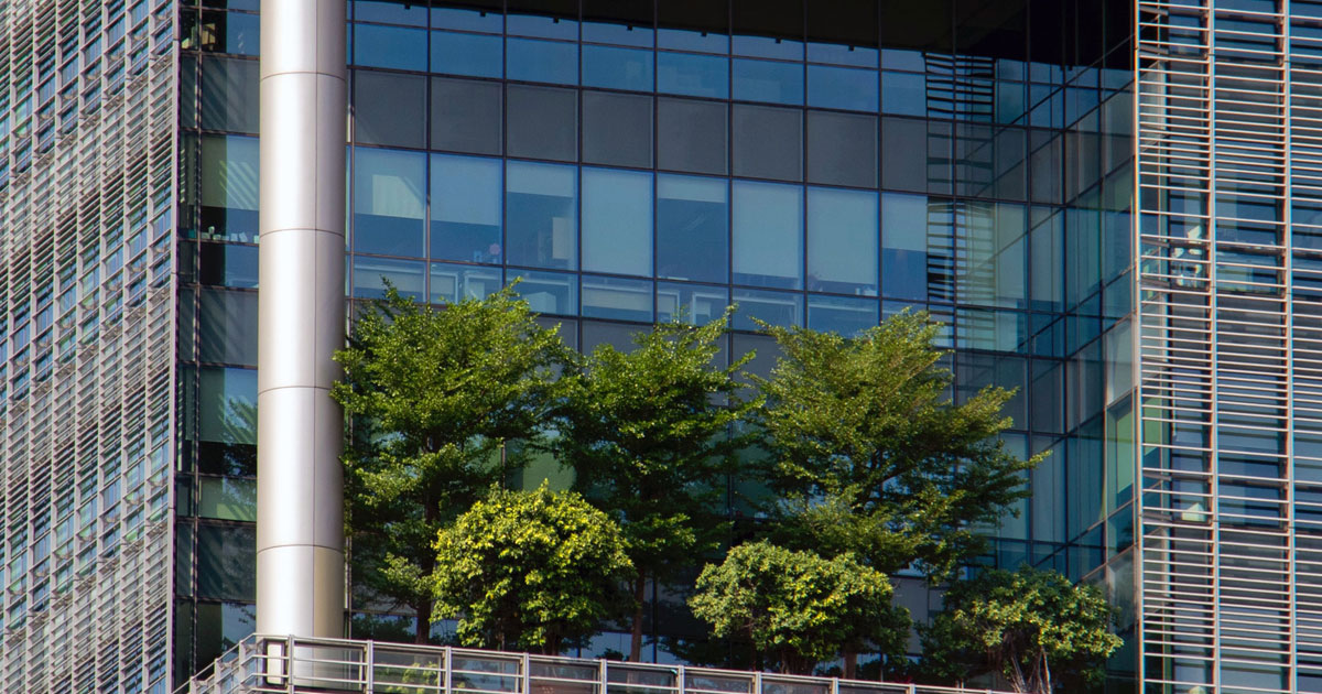 Save the environment by not travelling for meetings